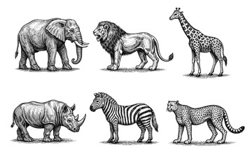 Fototapeta premium Vintage African animals engraving set, retro safari wildlife and exotic beast sketches in woodcut style