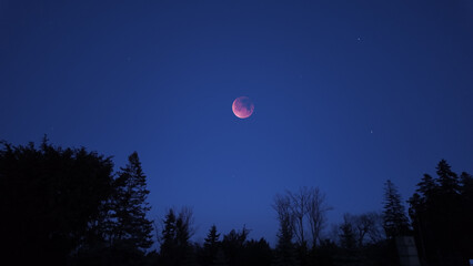 Blue hour time with lunar eclipse, stars and planets above landscape silhouettes.