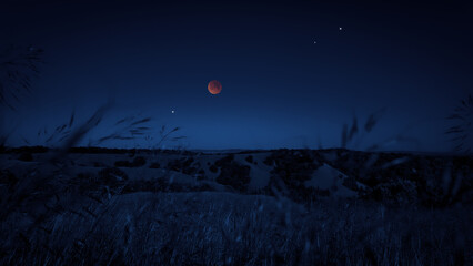 Blue hour time with lunar eclipse, stars and planets above landscape silhouettes. © astrosystem