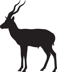 Fototapeta premium Blackbuck on white background.