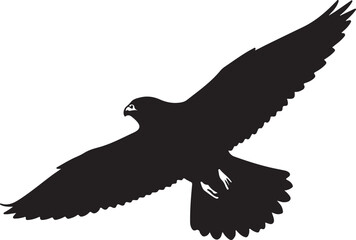 Peregrine Falcon on white background. © Faisal