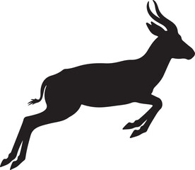 Obraz premium Springbok on white background..
