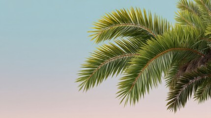 Fototapeta premium Lush Green Palm Tree Leaves Against a Soft Gradient Sky with Cool Blue and Warm Pink Hues, Perfect for Tropical and Summer-Themed Projects