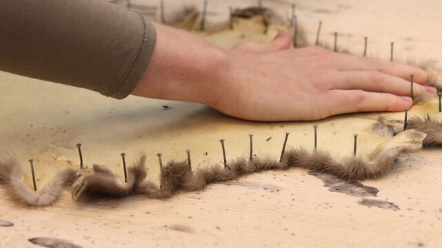 Traditional process of manual fur garment making from small animal pelts in professional atelier. Skilled furrier performs precise cutting stretching and stitching to create luxury winter fashion.