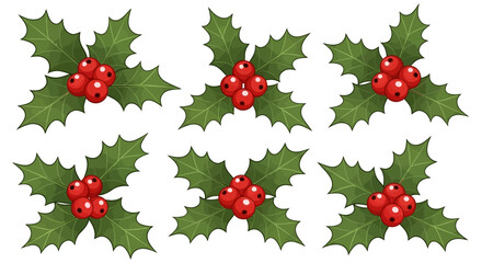 Six holly leaves with red berries on white background.