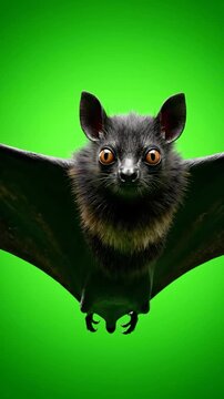 A small black bat with wide wings flies directly towards the viewer against