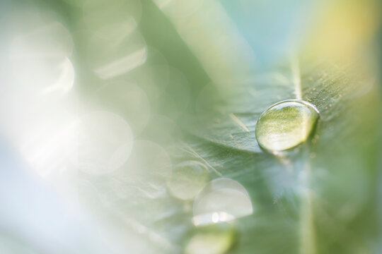 The abstract image of dewdrops on a leaf in the morning symbolizes the life and power of nature, reflecting light with a beautiful, sparkling brilliance.