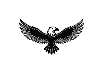 Obraz premium eagle in the form