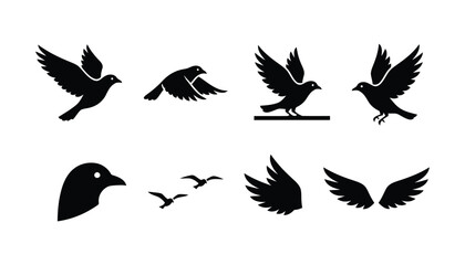 Diverse Avian Silhouettes Set for Nature and Wildlife Projects