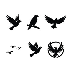 Obraz premium Set of Various Bird Silhouettes in Flight and Perched