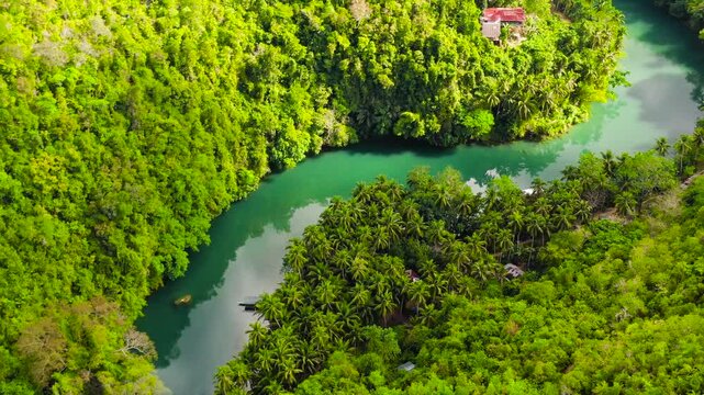 Beautiful natural scenery of Loboc river in tropical green forest. Bohol, Philippines.