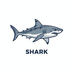 Obraz premium shark vector illustration