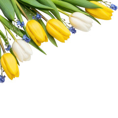 A beautiful bouquet of yellow and white tulips against a white background isolated on transparent background
