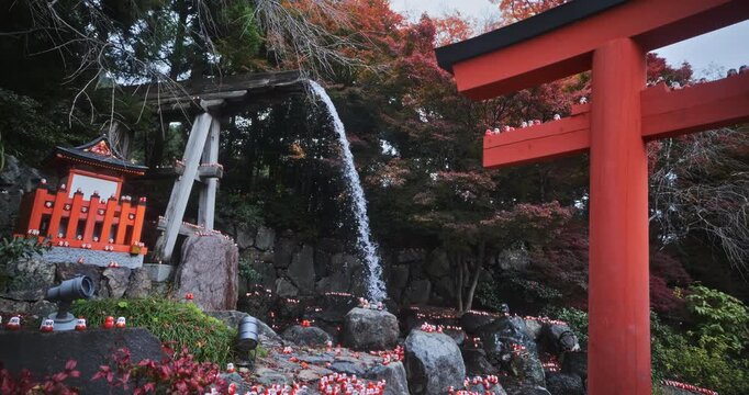Low, steady cam shot near torii gate and beautiful pond in Japan