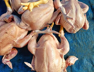 Fresh Raw Whole Chickens at Traditional Market
