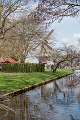 Keukenhof, Netherlands: A picturesque windmill surrounded by blooming flowers, reflecting the charm of Dutch landscapes in spring