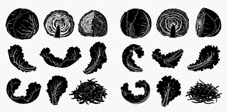 Set of fresh cabbage and lettuce leaves silhouettes, healthy food ingredients vector illustration.