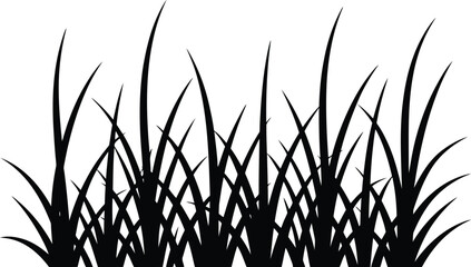 Silhouette of sharp black grass blades on white background