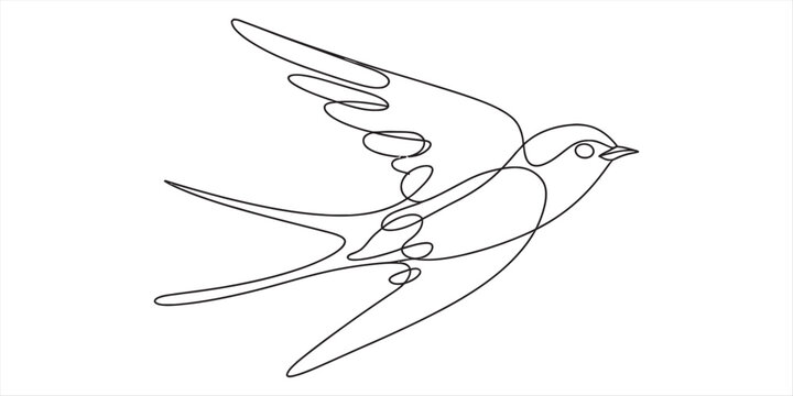 Continuous line drawing of a swallow bird in flight with minimalist black and white style Vector, illustration