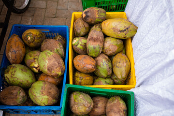 Coconut palm tree seed fruit drink beverages delicious yummy kenya coast