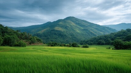 Obraz premium Serene Landscape with Lush Green Rice Fields and Majestic Mountain Under Dramatic Sky in Rural Setting, Nature's Beauty Captured in Tranquil Moment