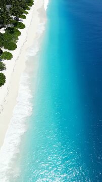 Aerial view of a pristine tropical beach with white sand and clear turquoise