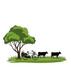 A peaceful countryside scene with a tree bicycle and grazing cows