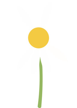 Simple daisy flower illustration. White chamomile blossom with green stem on white background
