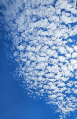 Obraz premium Small white fluffy clouds in a compact formation in a bright blue sky.