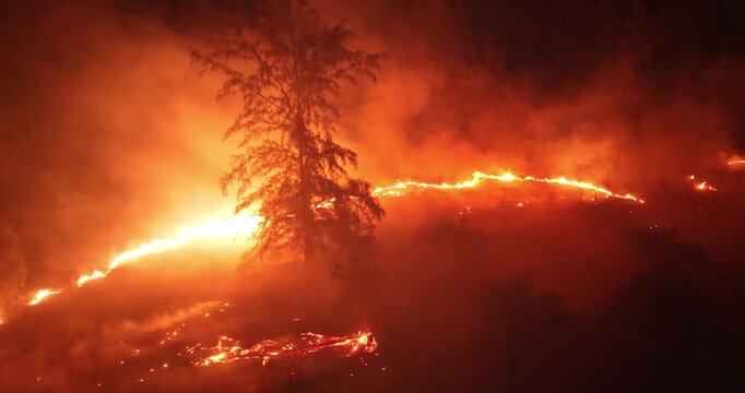 Forest wildfire at night, bright orange flames and heavy smoke consuming trees and landscape, dramatic aerial view highlighting environmental destruction and climate crisis. Aerial drone panorama