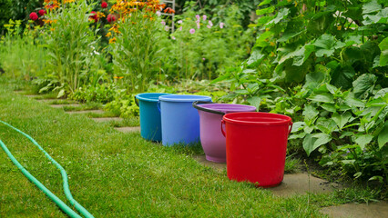 Colorful plastic buckets arranged in a row along a garden path beside lush green plants. A garden hose lies on the grass, suggesting watering or outdoor household chores. The bright red, purple, blue, © Anna Ivanovska