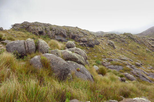 View of rocky mountain landscape in high altitude area of Itatiaia national park under fog. Rio de Janeiro, Brazil