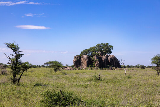Kopjes, die Inselberge der Savanne in Afrika. Hier in der Serengeti von Tansania.