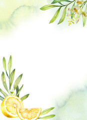 Hand drawn watercolor frame with lemons and olive branches in luxury design with a white background.