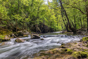 Silky forest stream with mossy rocks