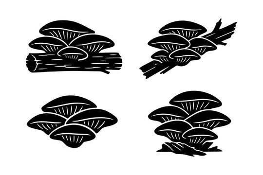 Silhouette of oyster mushrooms on log and sticks