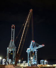 Port of Savona with cranes and overseas containers at nightPort with cranes and overseas containers at night