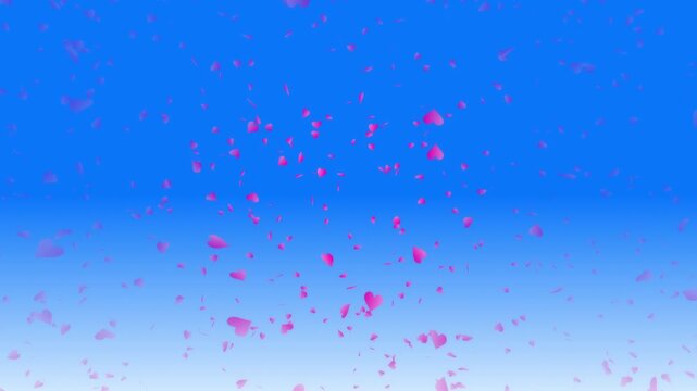 Pink heart shapes being lit up and falling down on blue gradient background. Abstract background for Happy Valentine's day and wedding ceremony.