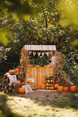 Rustic Fall Farm Market Display with Pumpkins, Corn Stalks and Seasonal Decor