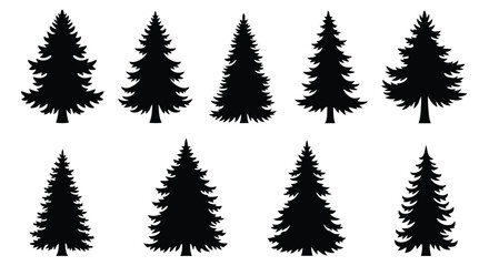 Fototapeta premium Collection of Black Silhouette Evergreen Pine Trees.