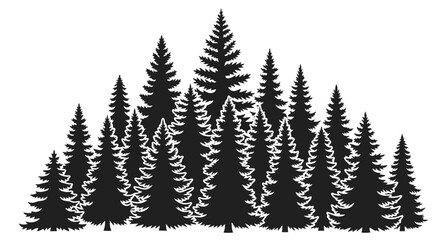 Obraz premium Silhouette of a dense forest of pine trees.