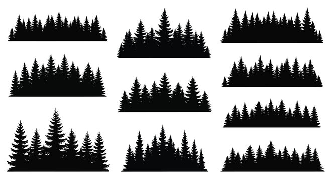 Collection of Silhouetted Evergreen Forest Scenes.