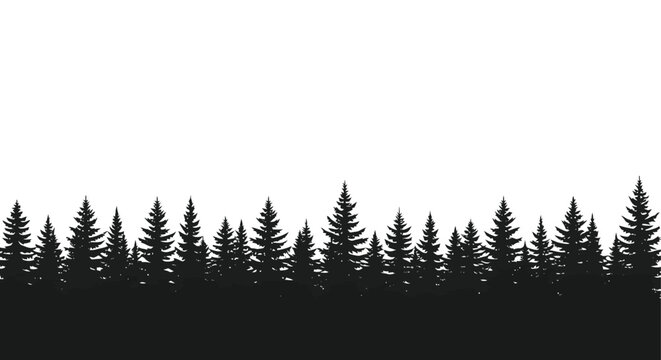 Silhouette of a dense evergreen forest landscape.