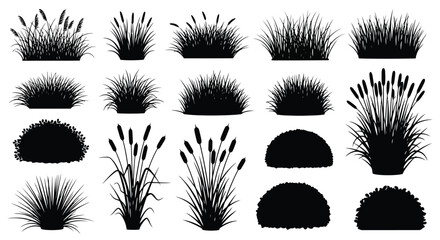 Collection of Black Silhouettes of Various Grasses and Reeds. © Muginandaru