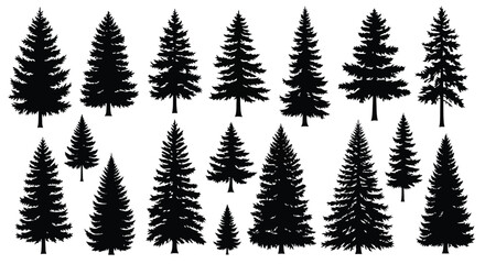 Fototapeta premium Collection of Diverse Evergreen Pine Tree Silhouettes.