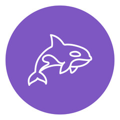 Obraz premium Killer Whale Vector Icon