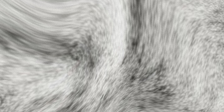 A close up monochrome image showcases a soft textured and fluffy surface resembling animal fur or a plush fabric high quality
