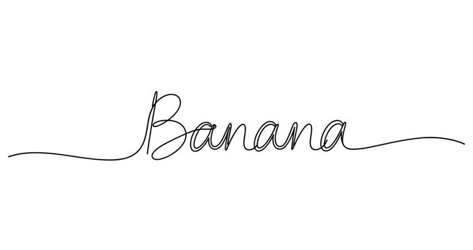 Minimalist continuous line art of the word banana. No editable strokes