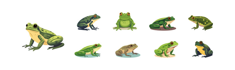 Obraz premium Collection of diverse cartoon frogs in various poses and colors on a white background