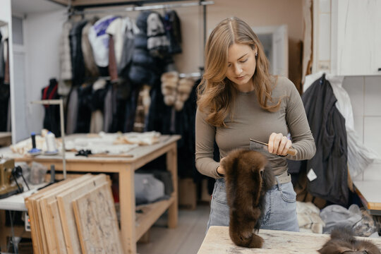 Beautiful young female furrier working with natural mink pelts in a traditional workshop. Handmade process of cutting, trimming and stitching fur coats using professional tools and artisan techniques.